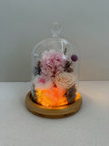 Carnation Bell Jar - Pink Peaches - Flowers - Preserved Flowers & Fresh Flower Florist Gift Store