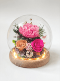 Carnation Blowball - Magenta - Flowers - Preserved Flowers & Fresh Flower Florist Gift Store