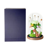 Hazelynn (With Gift Box) - Flower - Green - Preserved Flowers & Fresh Flower Florist Gift Store