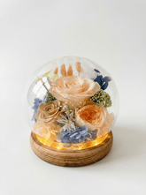 Rose Blowball - Champagne - Flowers - Preserved Flowers & Fresh Flower Florist Gift Store