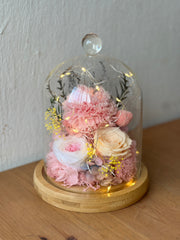 Carnation Bell Jar - Pink Peaches