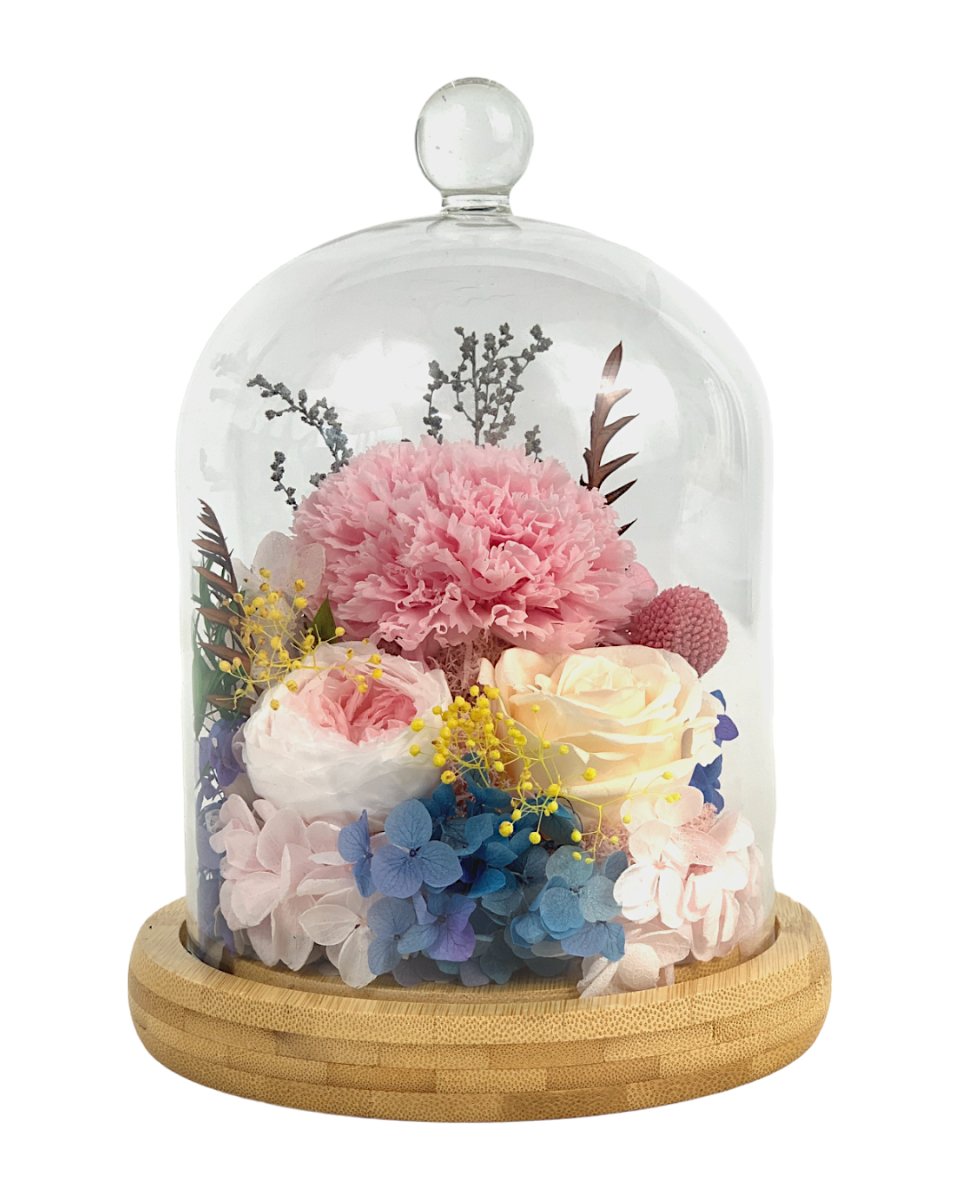 Carnation Bell Jar - Pink Peaches (with box) - Flowers - Preserved Flowers & Fresh Flower Florist Gift Store