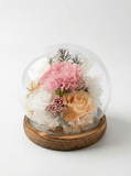 Carnation Blowball - Pink - Flowers - Preserved Flowers & Fresh Flower Florist Gift Store
