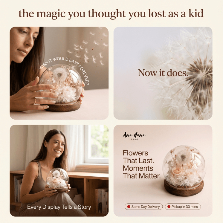 Dandelion Daphne Blowball - Flowers - Champagne - Preserved Flowers & Fresh Flower Florist Gift Store