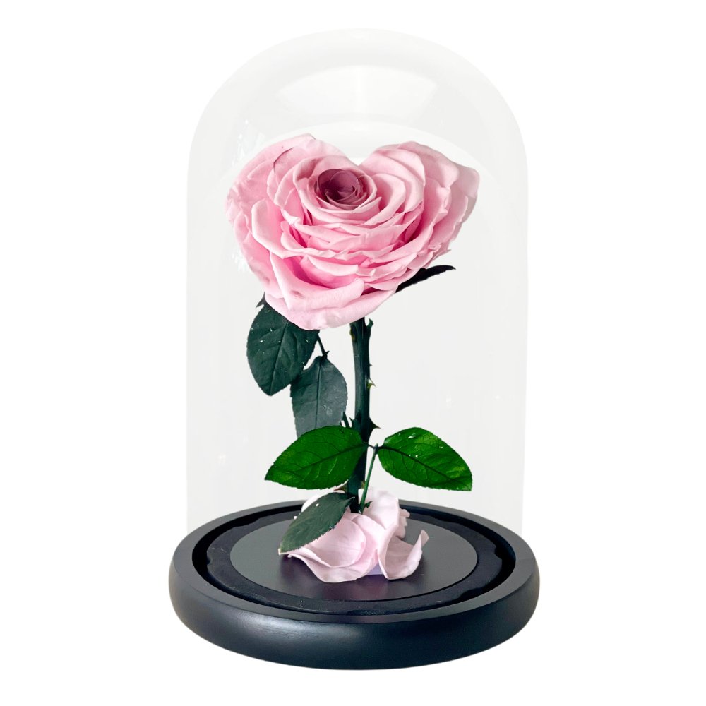 Heart-shaped Blush Rose - Flower - Preserved Flowers & Fresh Flower Florist Gift Store