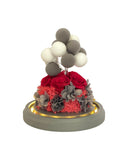 Pompom Boru Flowers - Flowers - Grey - Preserved Flowers & Fresh Flower Florist Gift Store