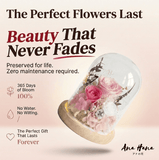 Sora Preserved Flower Dome - Flowers - Cherry Pink - Preserved Flowers & Fresh Flower Florist Gift Store