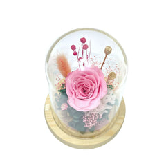 Blush Pink - Flower Dome - Flower - Preserved Flowers & Fresh Flower Florist Gift Store