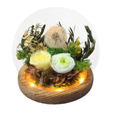 Dandelion Blowball Preserved Flower Dome - Champagne - Flower - Preserved Flowers & Fresh Flower Florist Gift Store