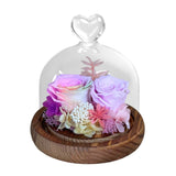 Haruhi - Rainbow - Flower - Preserved Flowers & Fresh Flower Florist Gift Store