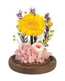 Sunflower Dome - Rosie Pink - Flowers - Preserved Flowers & Fresh Flower Florist Gift Store