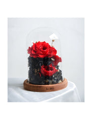 Snow White Dome - Flower - Preserved Flowers & Fresh Flower Florist Gift Store